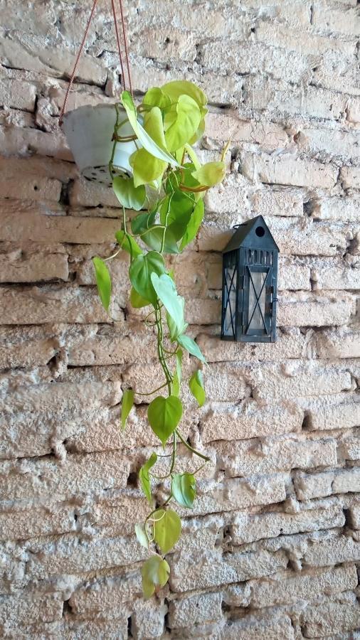 Coralca Bed & Breakfast Martínez Dış mekan fotoğraf
